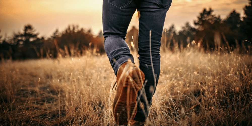 walk and talk therapy in Brampton, walk and talk therapy, walk and talk brampton